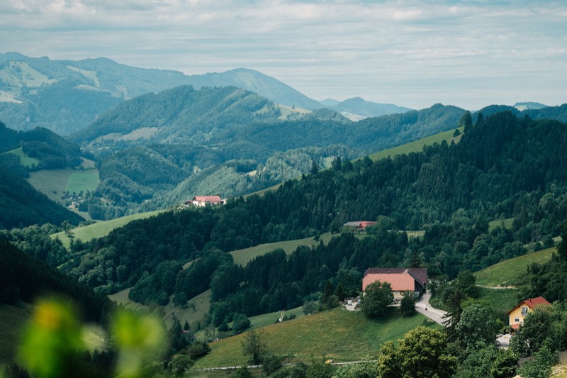 Blick über die bewaldeten Hügel der Voralpen