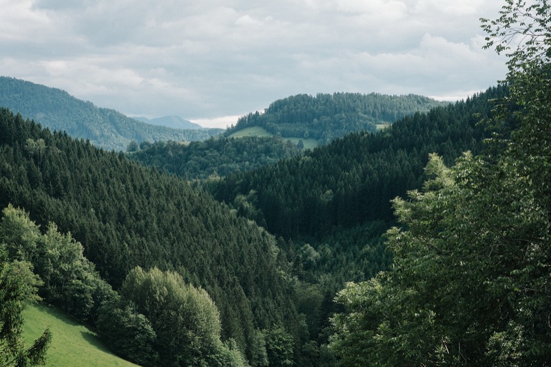 Bewaldete Hügel der Voralpen